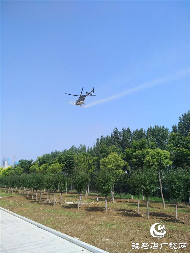 泌陽(yáng)縣實(shí)施飛機(jī)噴灑防治美國(guó)白蛾和楊樹食葉害蟲