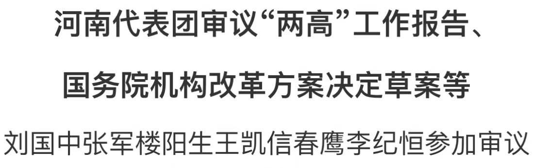 河南代表團審議“兩高”工作報告、國務院機構改革方案決定草案等