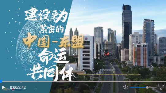 學習原聲丨建設更為緊密的中國—東盟命運共同體