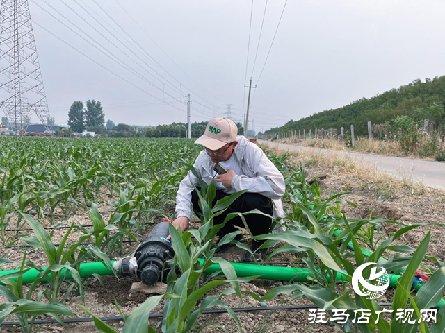 驛城區(qū)水屯鎮(zhèn)：抗旱造墑 搶種保苗