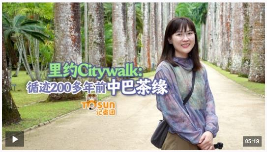 時政Vlog丨里約Citywalk：循跡200多年前中巴茶緣