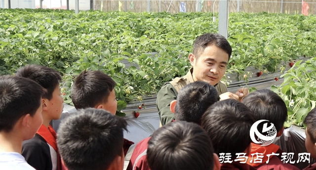 駐馬店：勞動教育搬進田園 在實踐中“發(fā)芽”