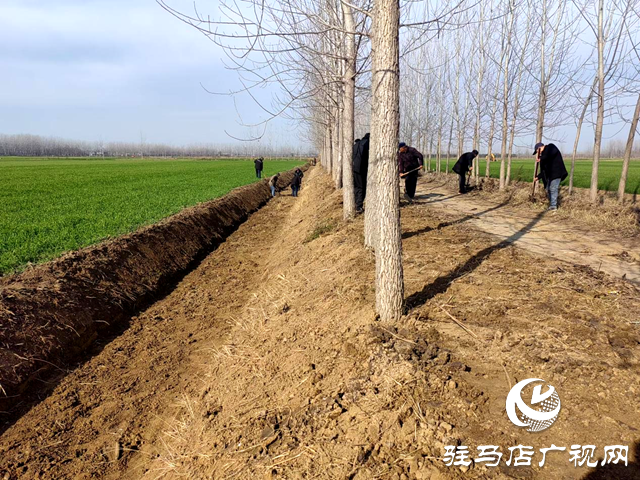 平輿縣李屯鎮(zhèn)：打通田間“微循環(huán)” 搭建民生“連心橋”