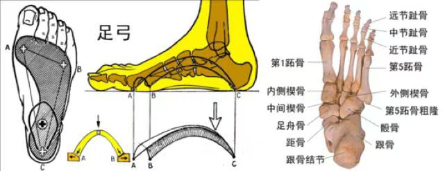 雪地靴又上熱搜！經(jīng)常穿真的很“傷腳”……醫(yī)生緊急提醒