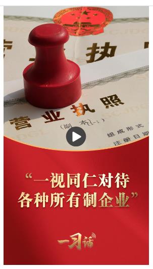 一習(xí)話丨“一視同仁對(duì)待各種所有制企業(yè)”