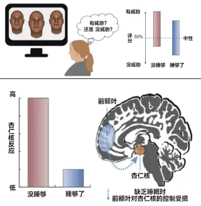 你以為的正?，F象，其實是睡眠不足！這份“熬夜急救包”請收好