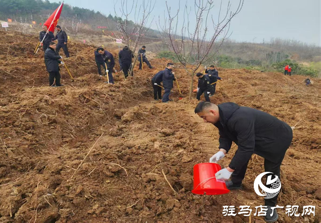 確山：春光明媚日 植樹正當時