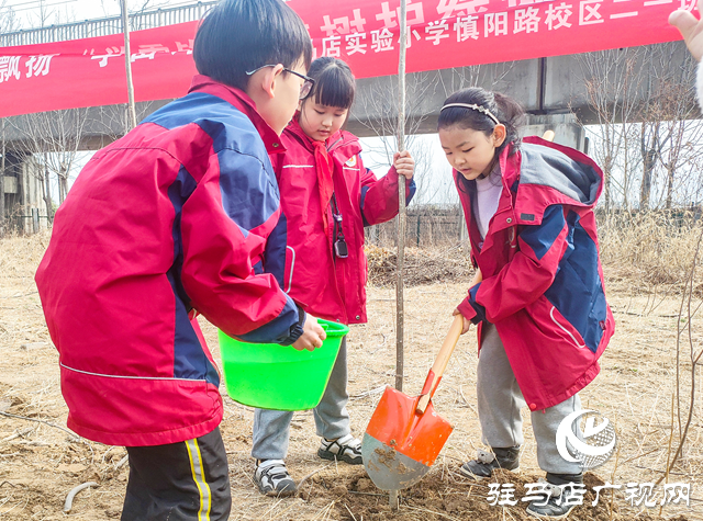 駐馬店實(shí)驗(yàn)小學(xué)開展學(xué)雷鋒志愿植樹活動(dòng)