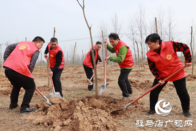 驛城區(qū)身邊好人協(xié)會組織開展義務(wù)植樹活動