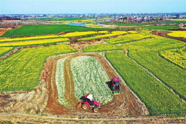 萬象“耕”新 春染大地