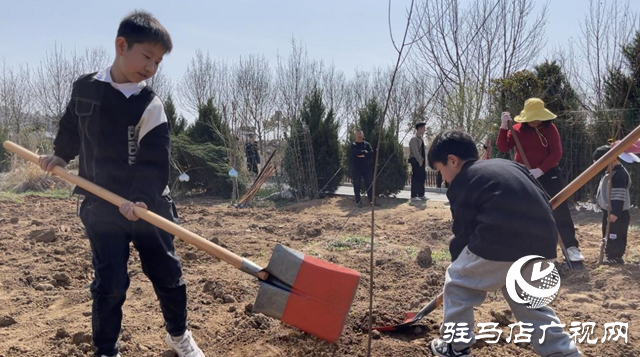 駐馬店廣播電視臺廣播事業(yè)管理中心：開展第七屆公益植樹活動(dòng) 助力鄉(xiāng)村綠色發(fā)展