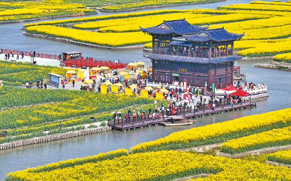 千垛花開(kāi)迎客來(lái)