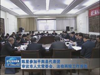 陳星參加平輿代表團審議市人大常委會、法檢兩院工作報