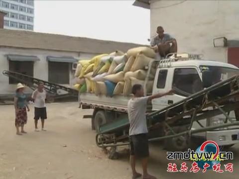 汝南：農(nóng)民喜售豐收糧